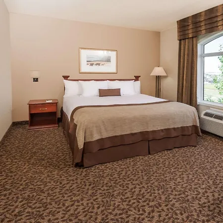 Wingate By Wyndham - Edmonton West-3
