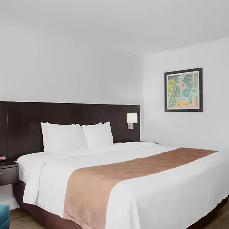 Quality Inn Miami South-2