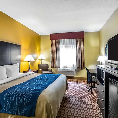 Quality Inn Plant City - Lakeland-2