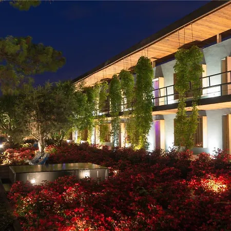 Hotel Bo-2