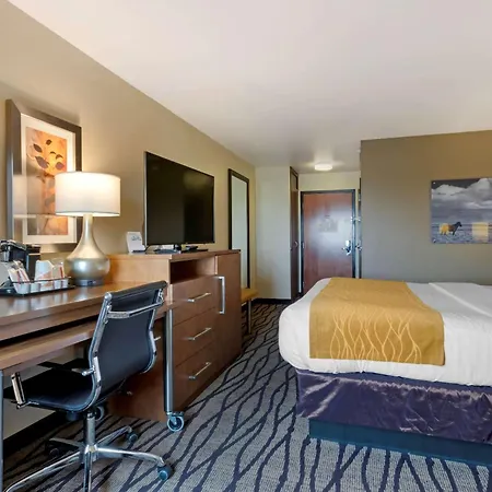Comfort Inn & Suites Market - Airport-2