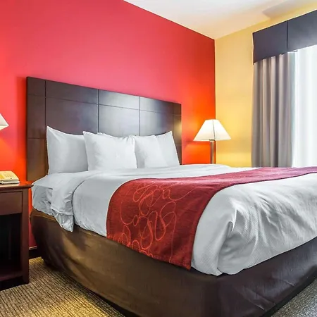 Comfort Suites Rock Hill Manchester Meadows Area-2