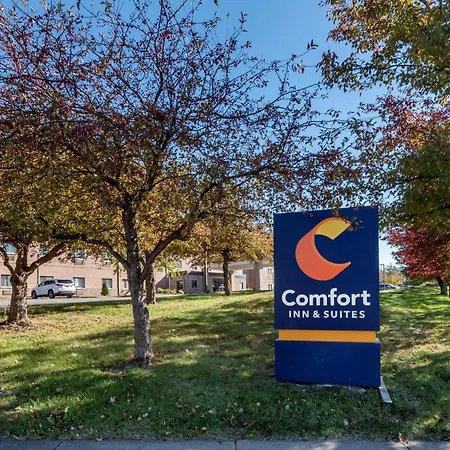 Comfort Inn & Suites Lees Summit - Kansas City-3