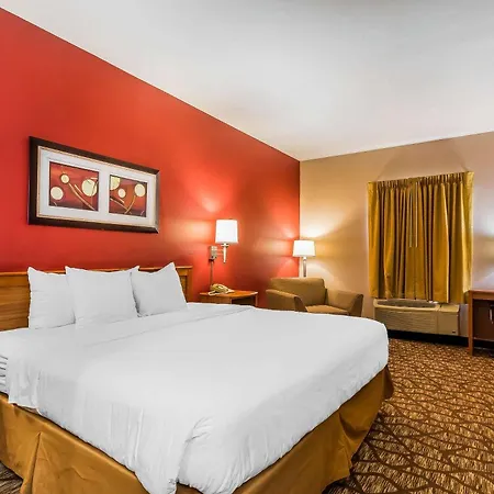 Quality Inn & Suites Chesterfield Village-3