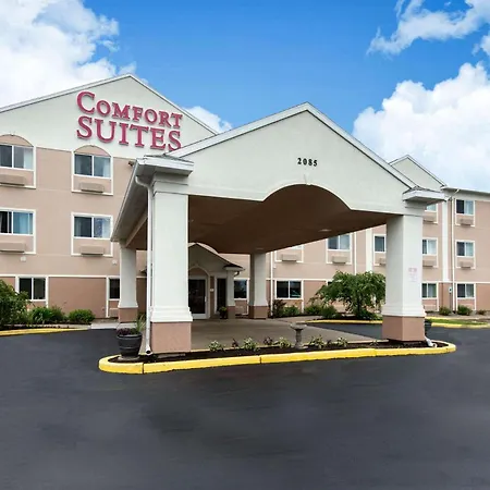 Comfort Suites Rochester Henrietta University Area-2