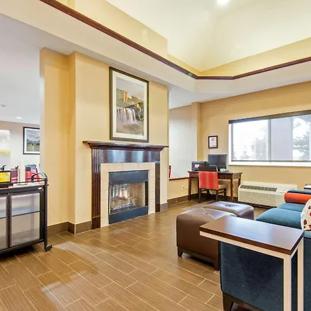 Comfort Suites Rochester Henrietta University Area-3