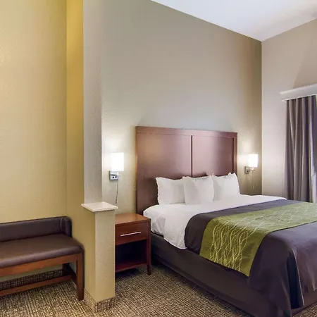 Comfort Inn Blackshear Hwy 84-3