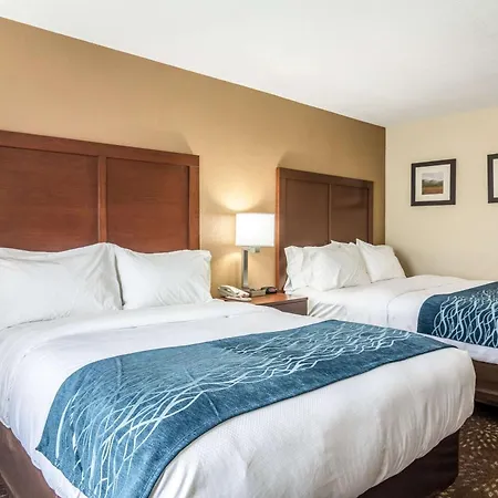 Comfort Inn & Suites - Hannibal-3