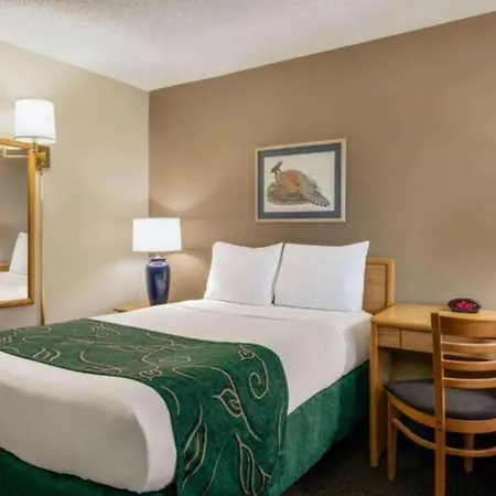 Travelodge By Wyndham Wellington-3