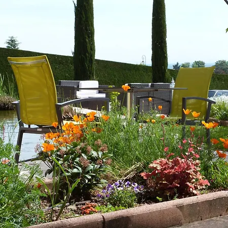Logis Hotel Des Grands Vins-2