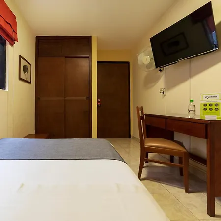 Ayenda 1502 Principe-3