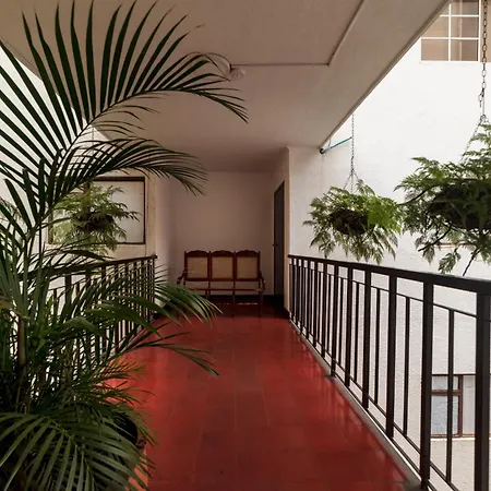 Ayenda 1502 Principe-2