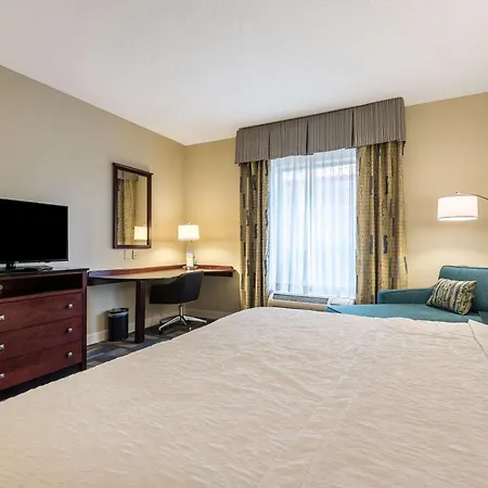 Hampton Inn & Suites Orlando-South Lake Buena Vista-2