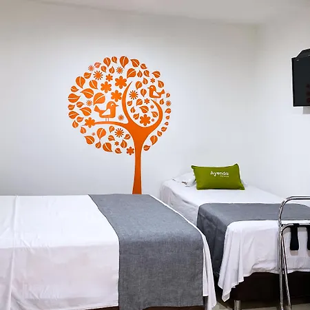 Hotel Mh Pereira-3