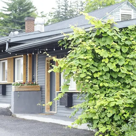The Vine On Main-2