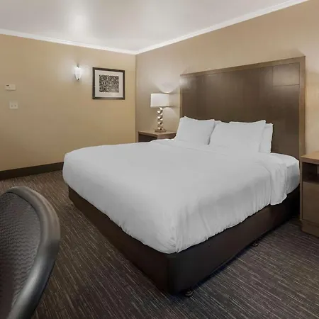 Best Western Plus Chena River Lodge-3