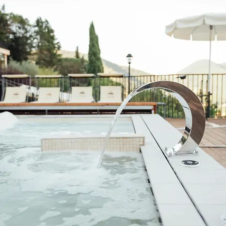 Vytae Spa & Resort-3