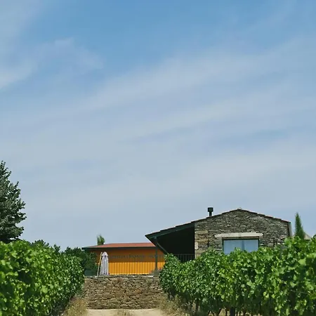 Quinta Do Monte Travesso - Country Houses & Winery-3