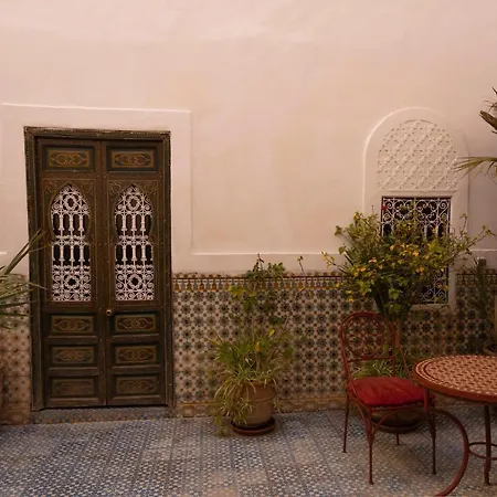 Riad Ifoulki-3