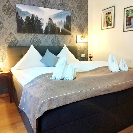 Stadthotel Deggendorf-2