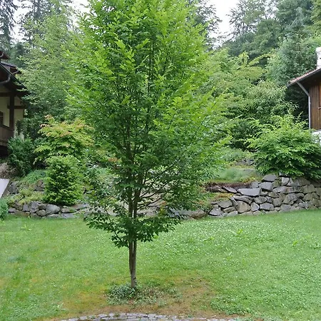 Zwieseler Waldhaus-2