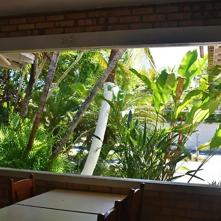 Hibiscus Center-2