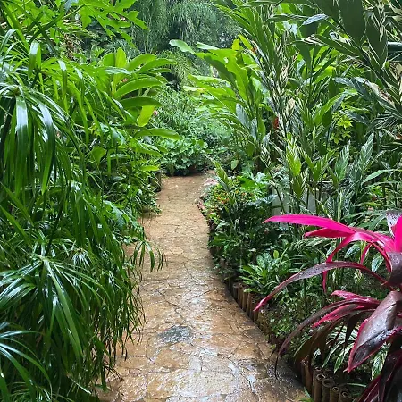 Hotel La Ceiba-3