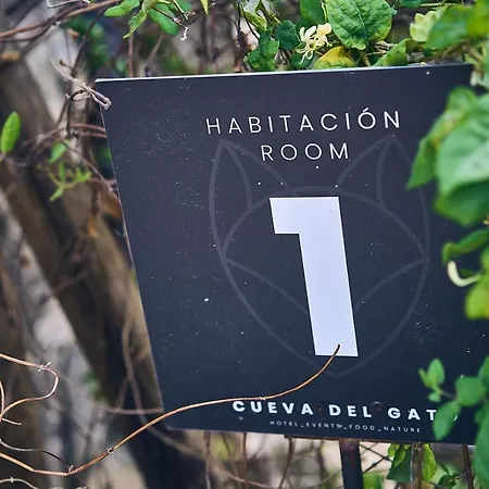 Eco Hotel Cueva Del Gato-3