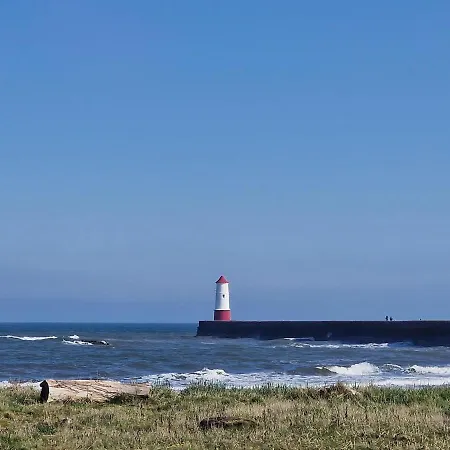 Berwick Holiday Park Haven-3