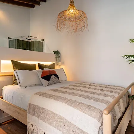 The Urban Jungle Hostel-2