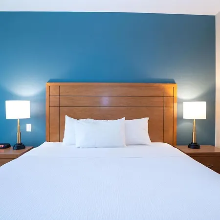 Sandman Hotel And Suites Squamish-3