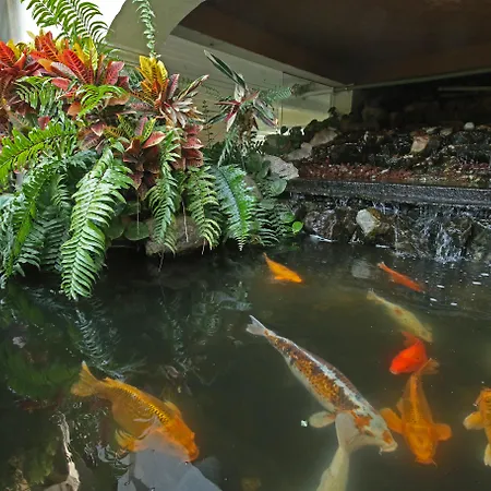 Holiday Inn Cuernavaca By Ihg-2