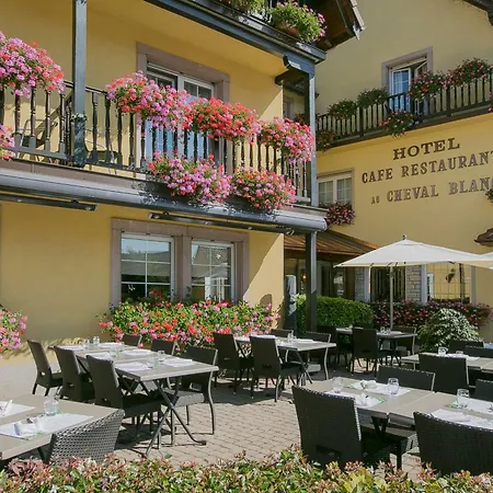 Best Western Plus Au cheval Blanc à Mulhouse-3