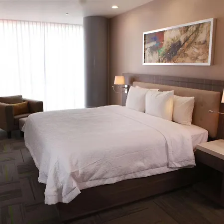 Hampton Inn&Suites by Hilton Aguascalientes Aeropuerto-3