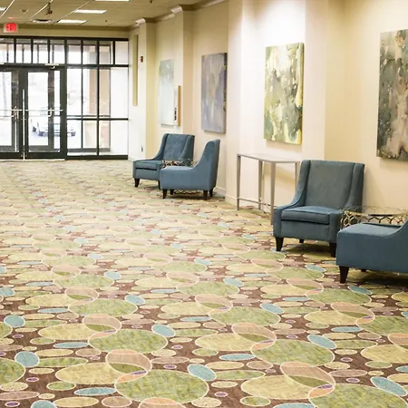 Holiday Inn & Suites Bolingbrook By Ihg-3