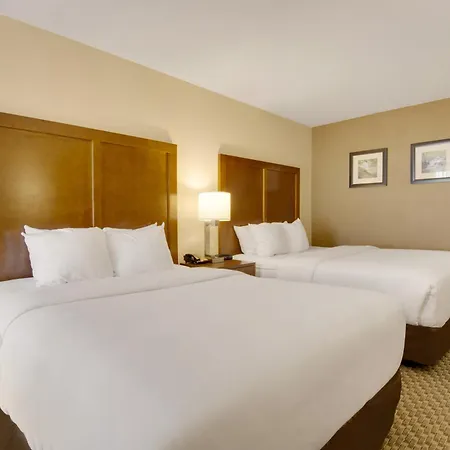 Comfort Inn Airport-2