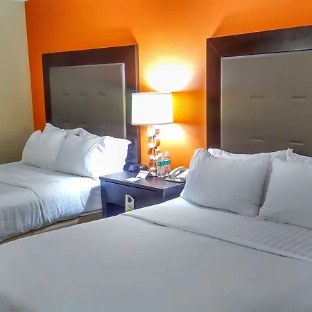 Holiday Inn Express & Suites Opelousas By Ihg-3
