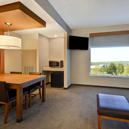 Hyatt Place Huntsville - Research Park - Redstone-3