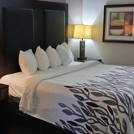 Red Roof Inn & Suites Longview-2