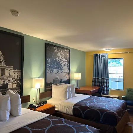 Super 8 Alexandria By Wyndham-3