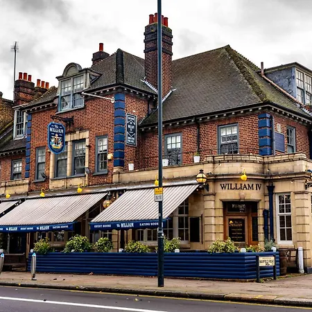 The William-3