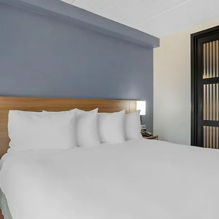 The Iah Houston Hotel-2