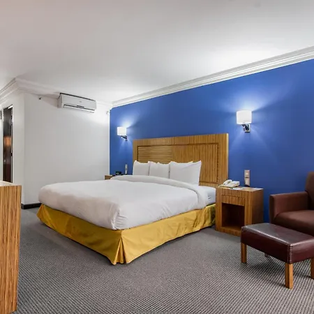 Radisson Hotel & Convention Center Toluca-2