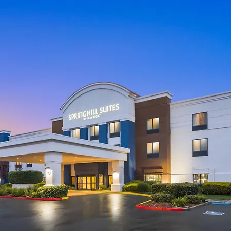 Springhill Suites By Marriott Modesto-3