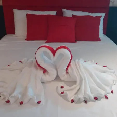 Hotel Guest-2
