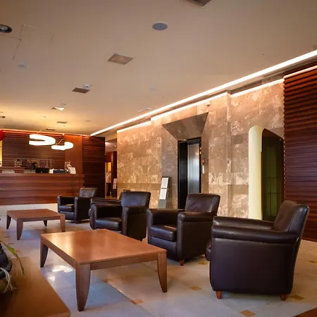 Hotel Airone-3