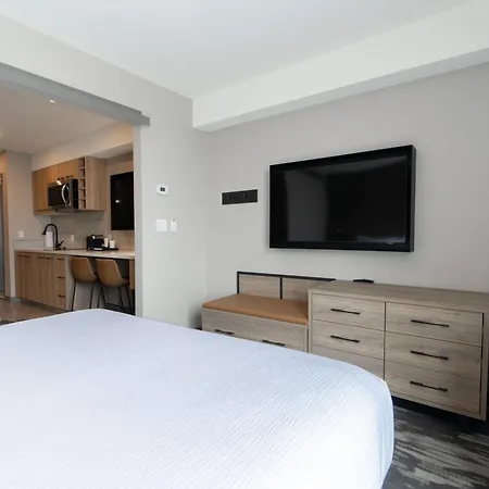 Sandman Signature Dartmouth Hotel & Suites-2