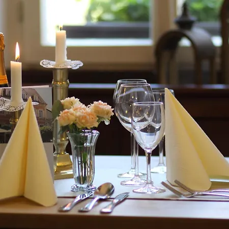 Hotel Restaurant Erbprinz Walldorf-3