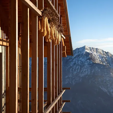 Nif: Alpine Taste-2