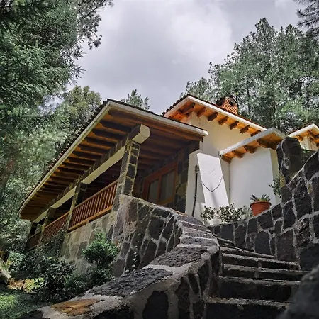 Los Azufres Spa Natural-3